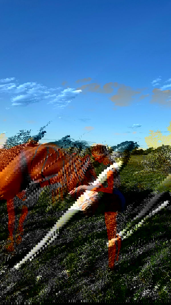 carolinezalog carolinezalog archive image