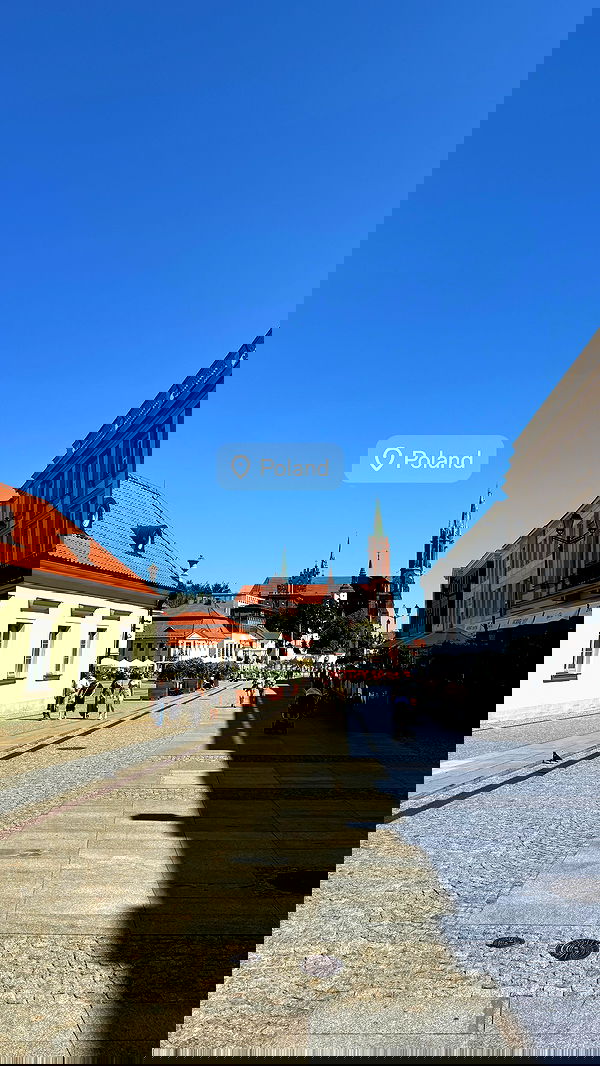 carolinezalog carolinezalog archive image