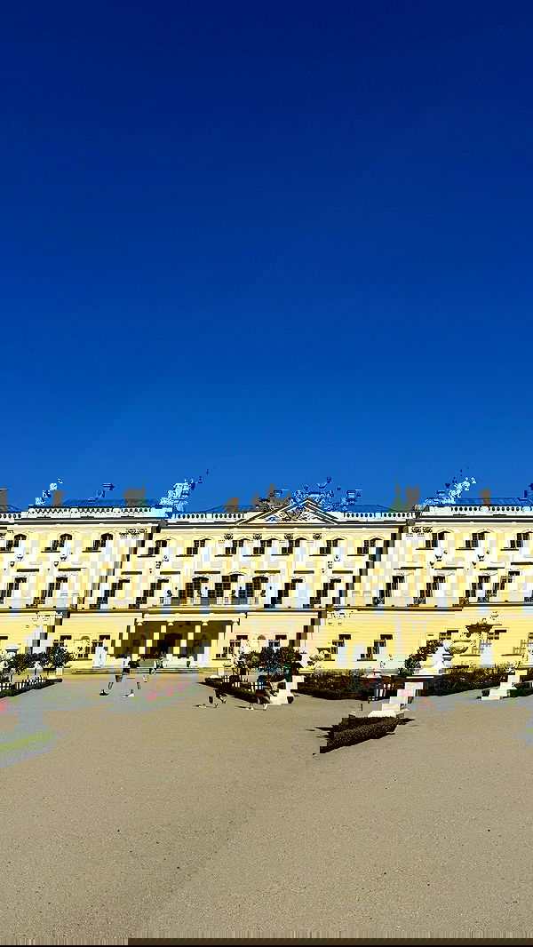 carolinezalog carolinezalog archive image