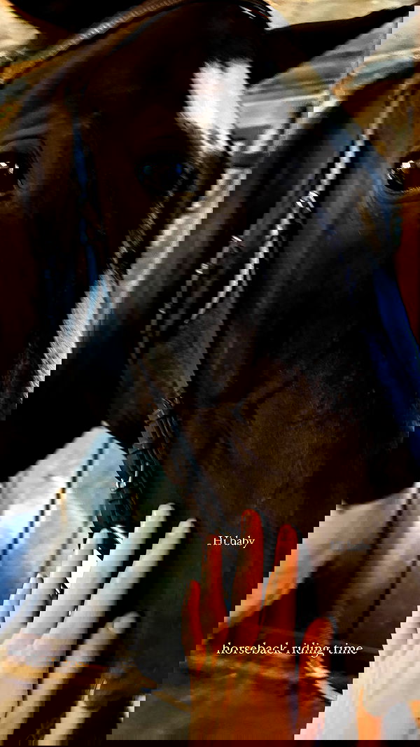 carolinezalog carolinezalog archive image