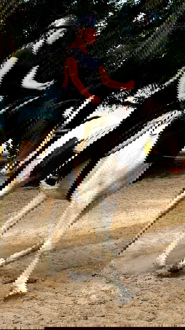 carolinezalog carolinezalog archive image