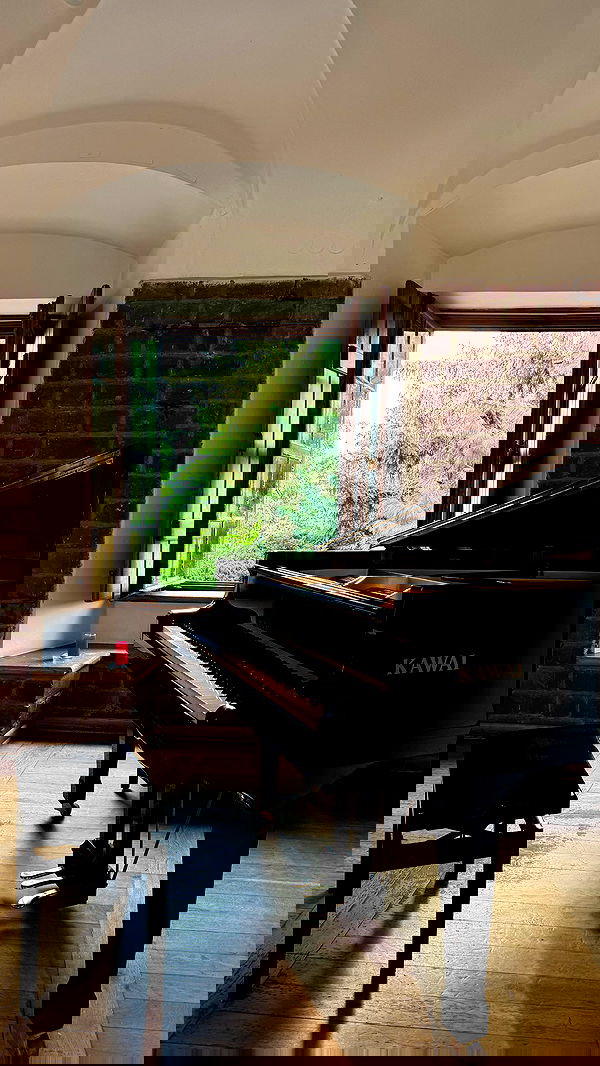 carolinezalog carolinezalog archive image