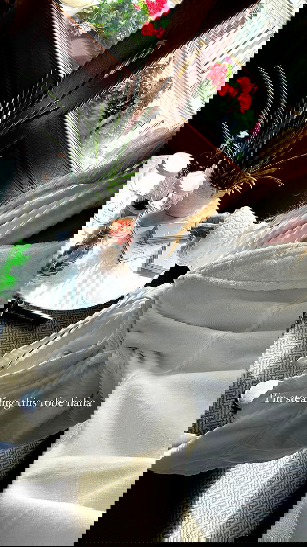 carolinezalog carolinezalog archive image