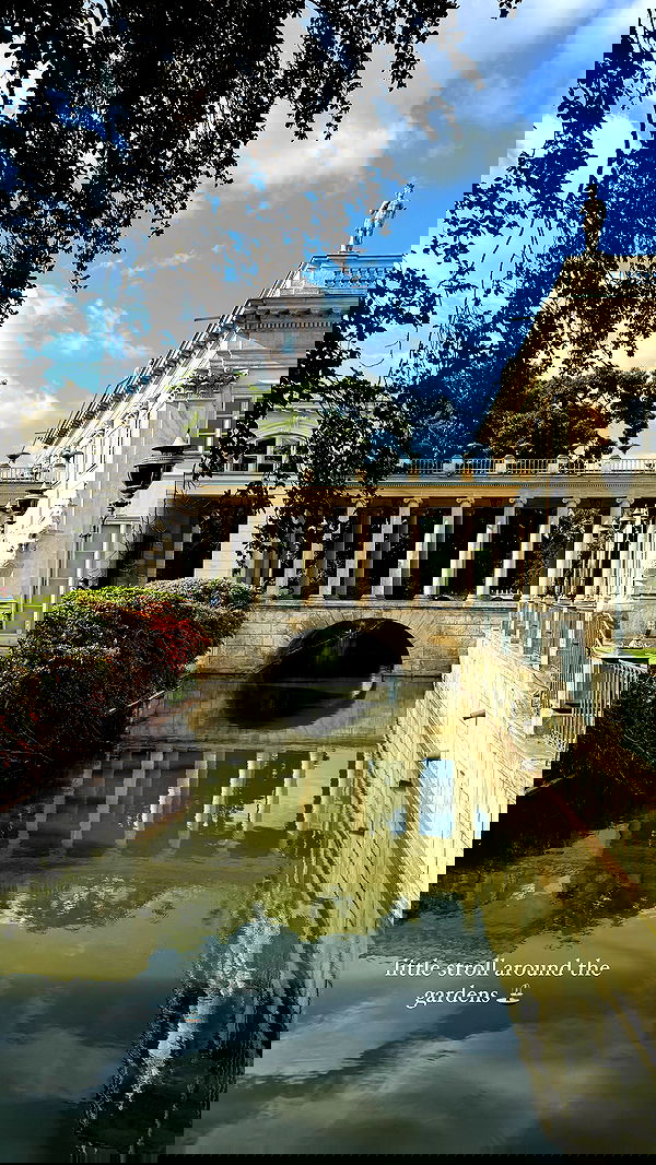 carolinezalog carolinezalog archive image