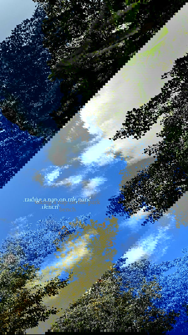 carolinezalog carolinezalog archive image