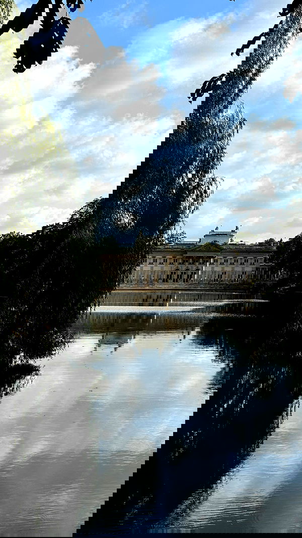 carolinezalog carolinezalog archive image