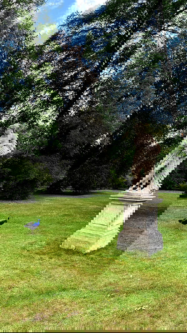 carolinezalog carolinezalog archive image