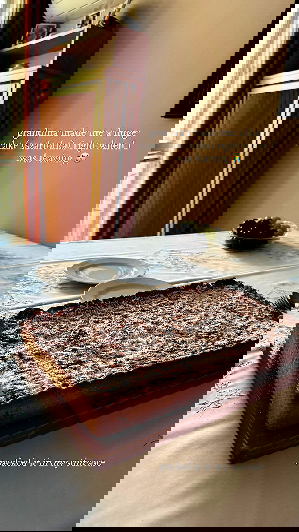 carolinezalog carolinezalog archive image