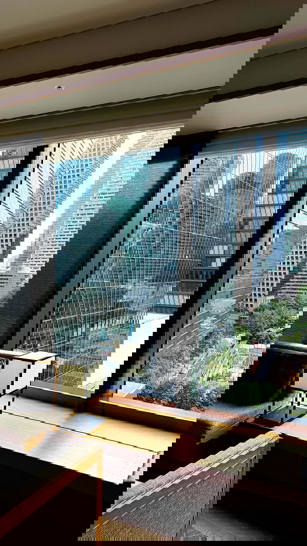 carolinezalog carolinezalog archive image