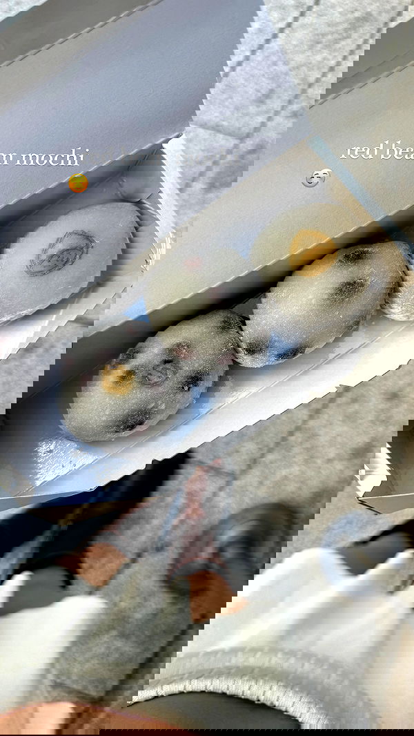 carolinezalog carolinezalog archive image