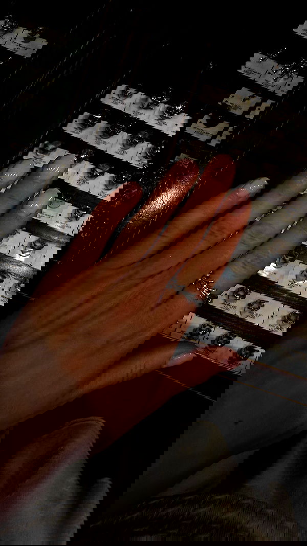 carolinezalog carolinezalog archive image