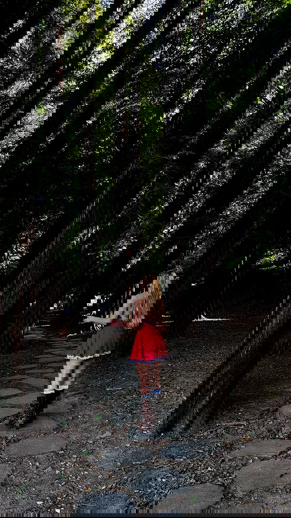 carolinezalog carolinezalog archive image