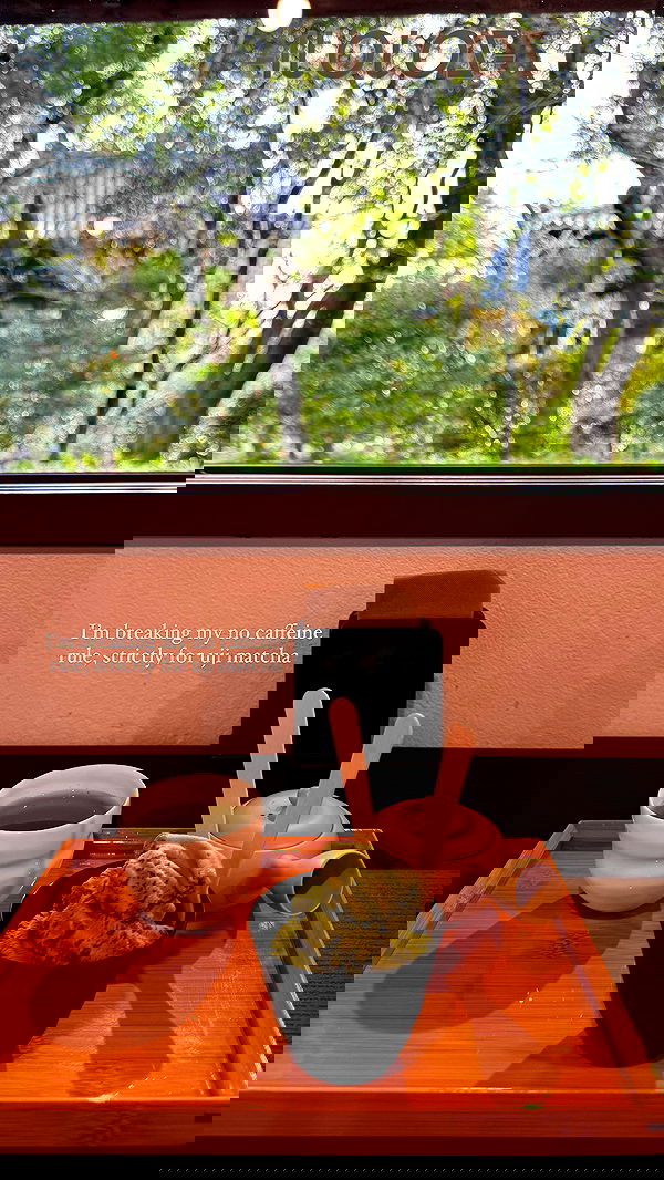 carolinezalog carolinezalog archive image