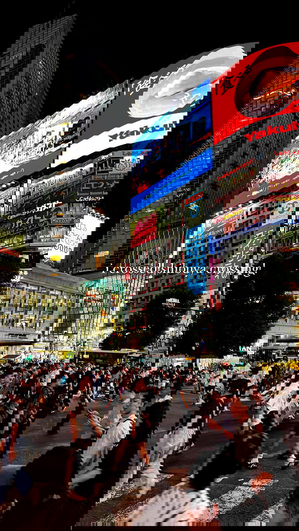 carolinezalog carolinezalog archive image