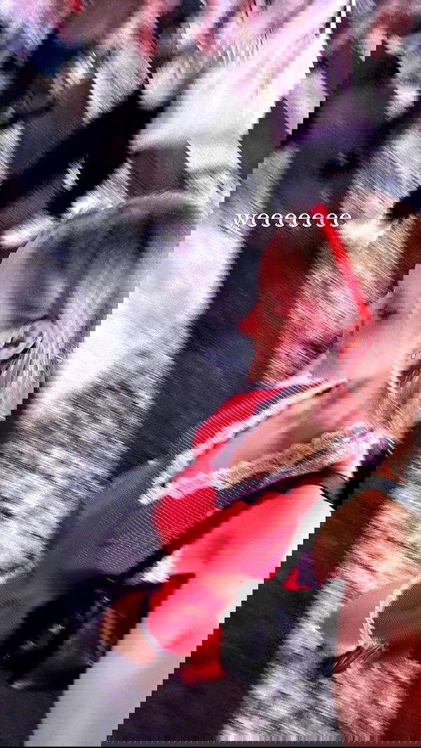 carolinezalog carolinezalog archive image