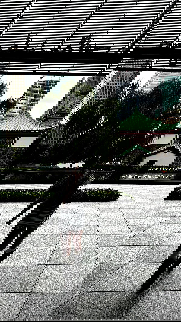 carolinezalog carolinezalog archive image