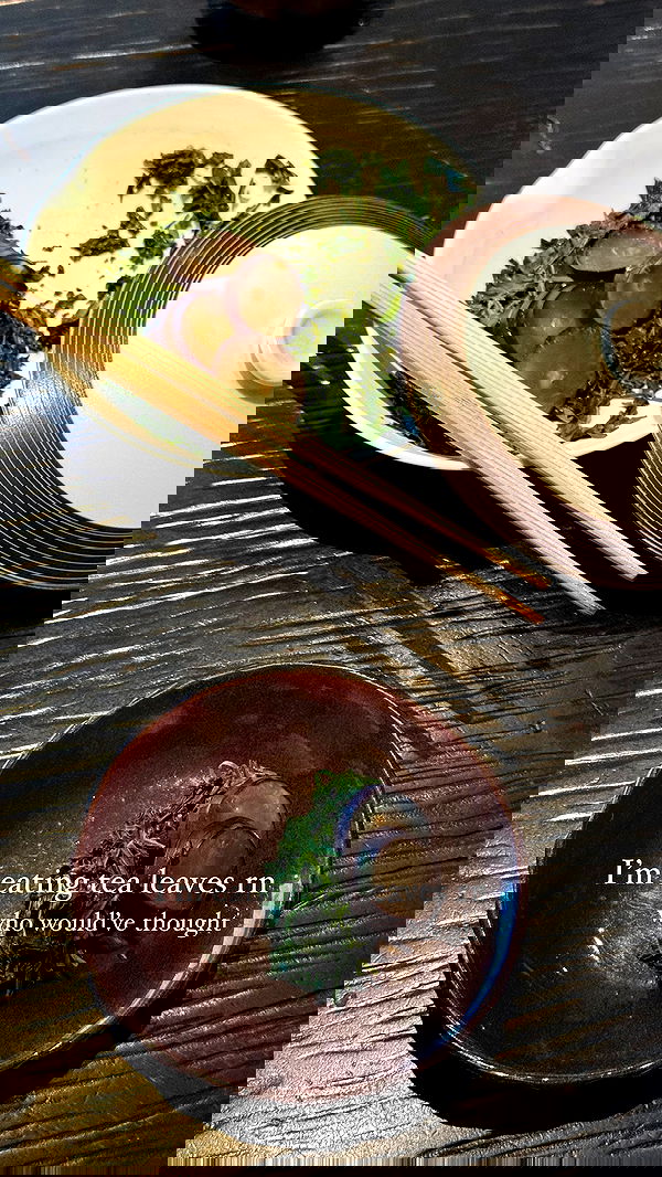 carolinezalog carolinezalog archive image