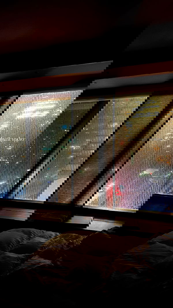 carolinezalog carolinezalog archive image