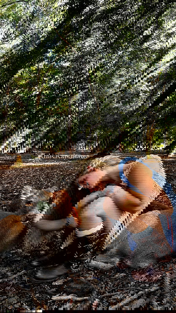 carolinezalog carolinezalog archive image