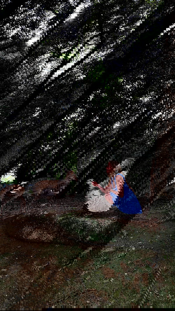 carolinezalog carolinezalog archive image