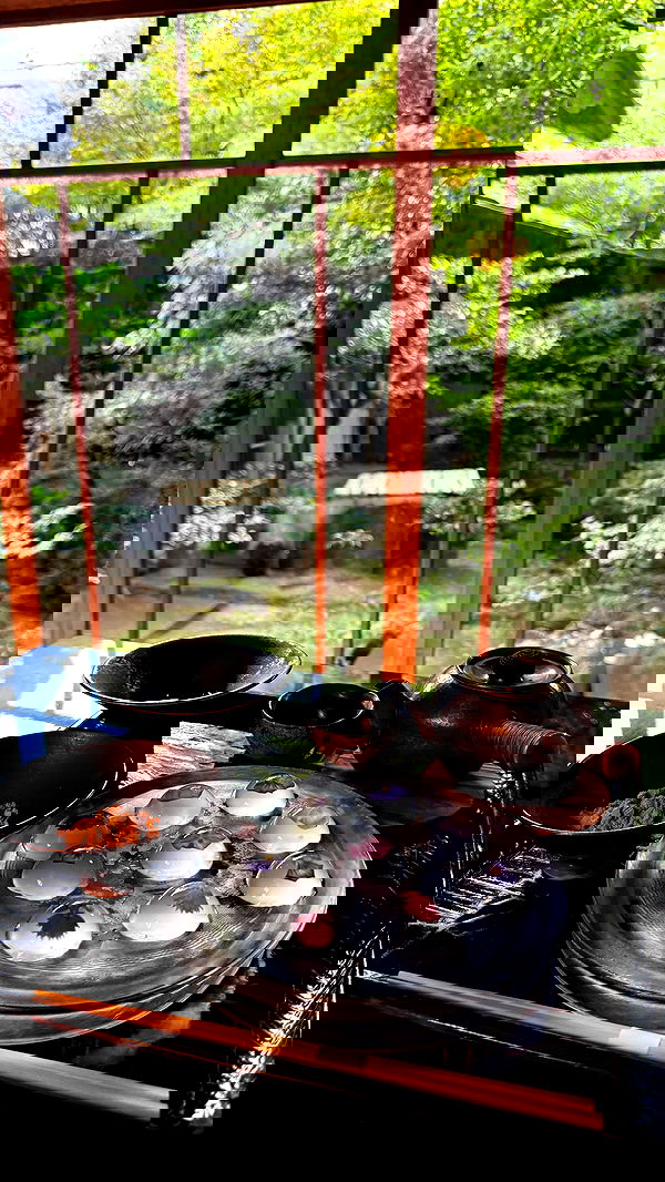 carolinezalog carolinezalog archive image