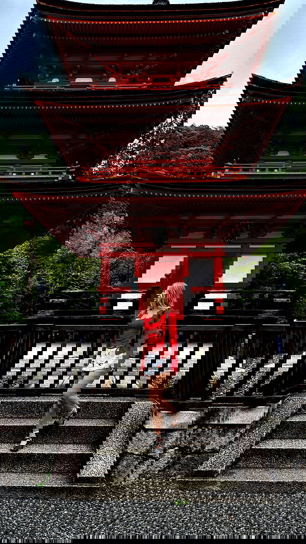 carolinezalog carolinezalog archive image