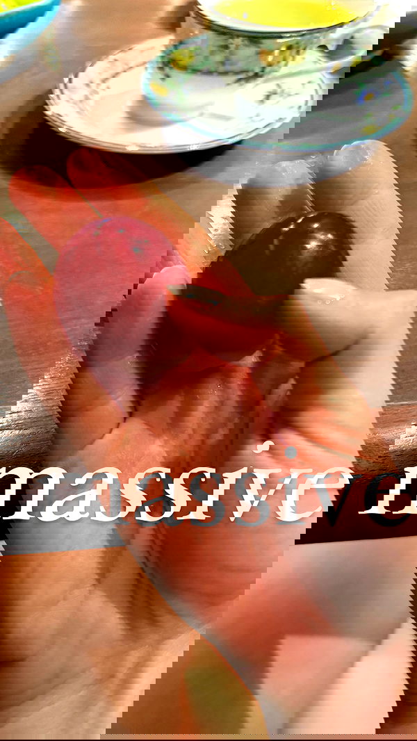 carolinezalog carolinezalog archive image