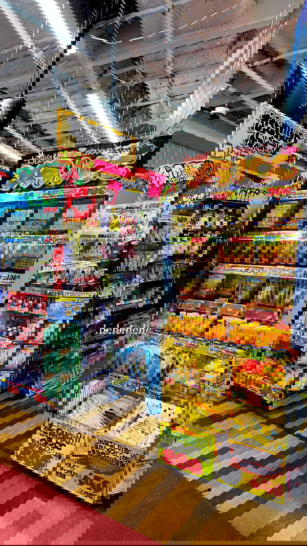 carolinezalog carolinezalog archive image