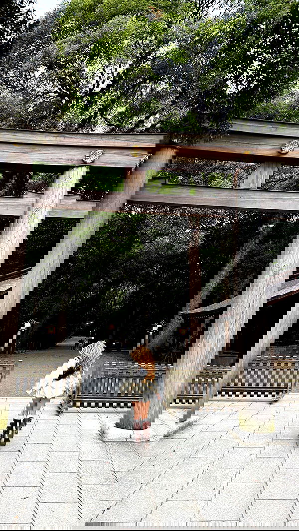 carolinezalog carolinezalog archive image