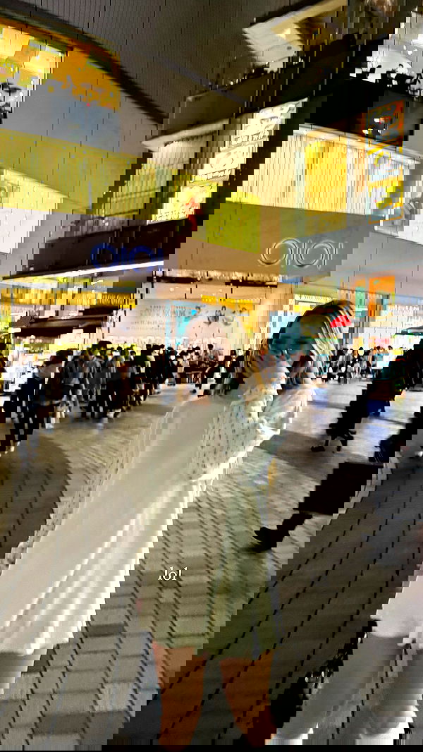 carolinezalog carolinezalog archive image