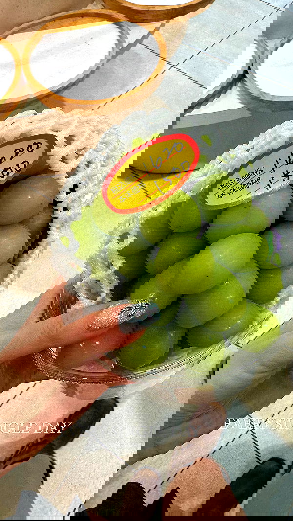 carolinezalog carolinezalog archive image