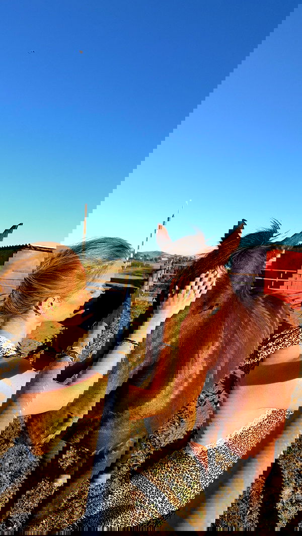 carolinezalog carolinezalog archive image