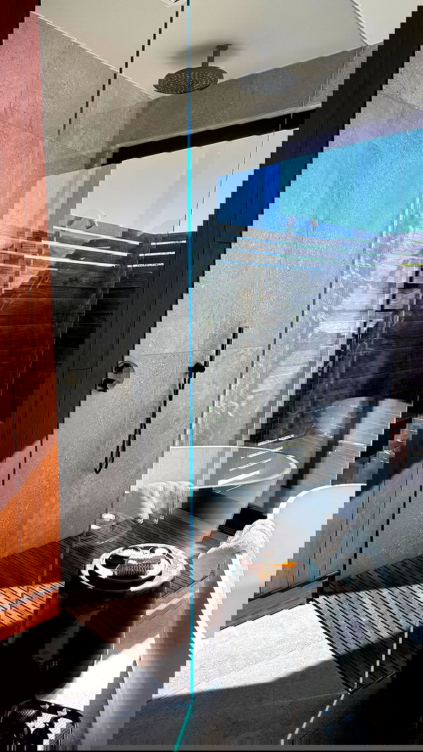 carolinezalog carolinezalog archive image