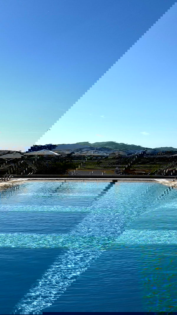 carolinezalog carolinezalog archive image