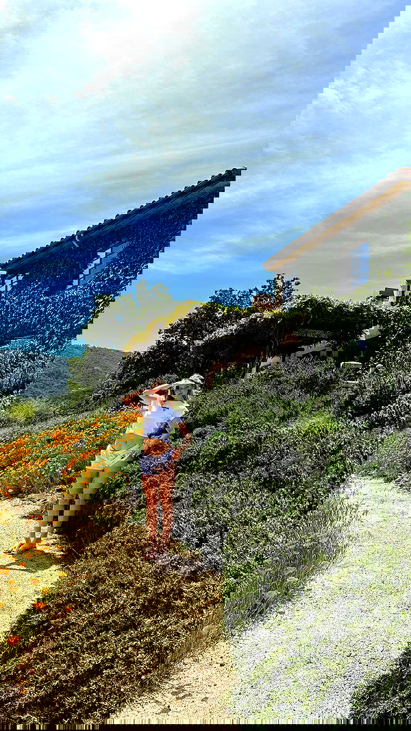 carolinezalog carolinezalog archive image