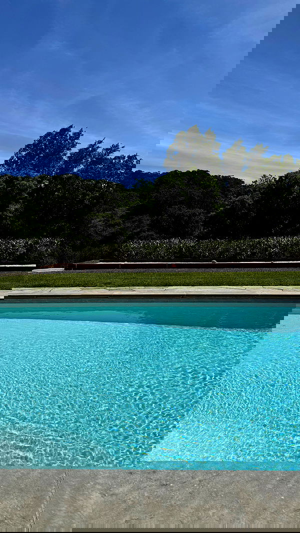 carolinezalog carolinezalog archive image