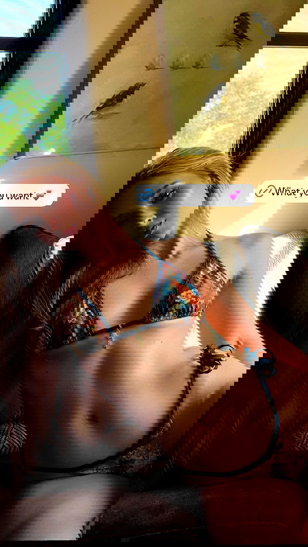 carolinezalog carolinezalog archive image