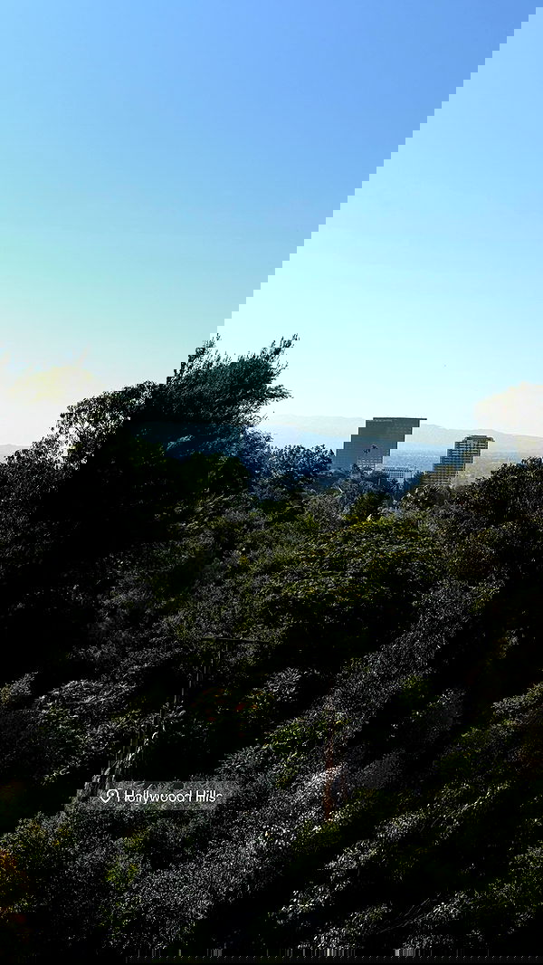 carolinezalog carolinezalog archive image