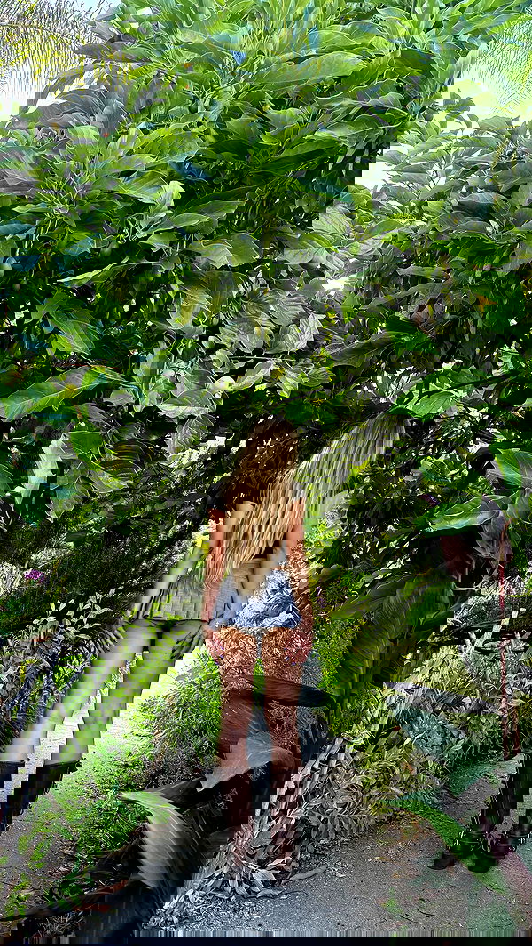 carolinezalog carolinezalog archive image