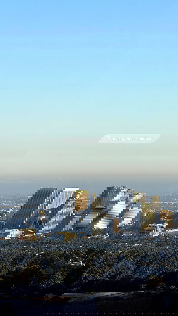 carolinezalog carolinezalog archive image