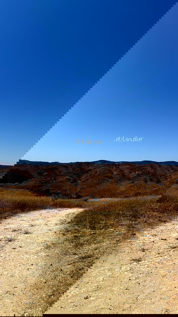 carolinezalog carolinezalog archive image