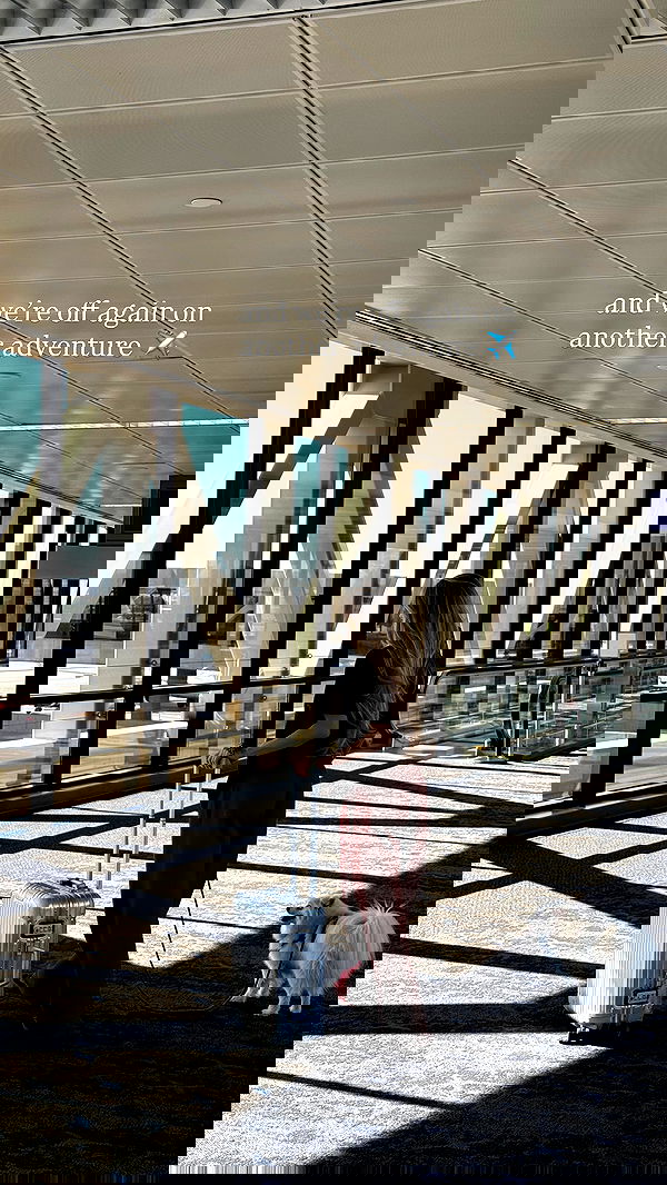 carolinezalog carolinezalog archive image