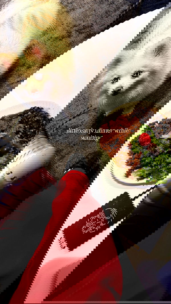 carolinezalog carolinezalog archive image