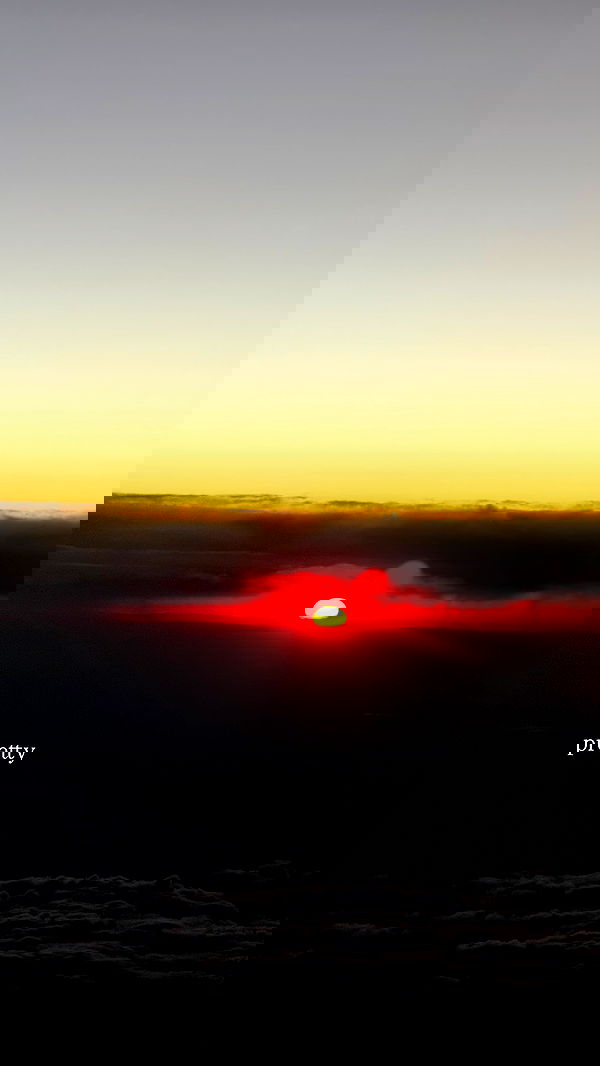 carolinezalog carolinezalog archive image