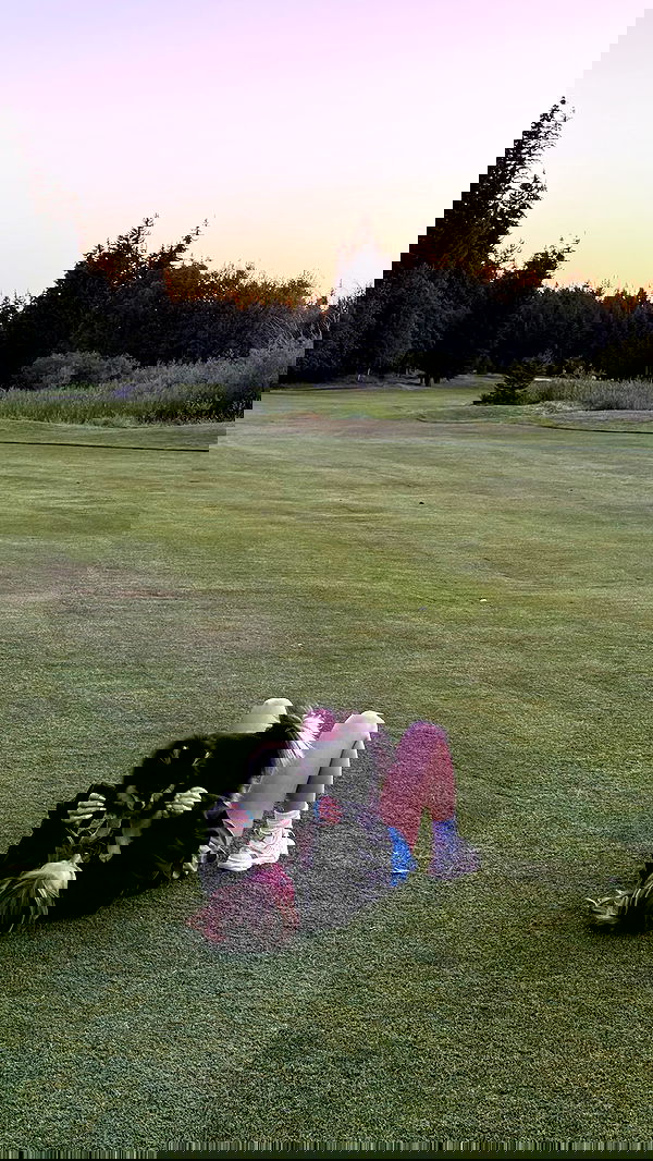 carolinezalog carolinezalog archive image