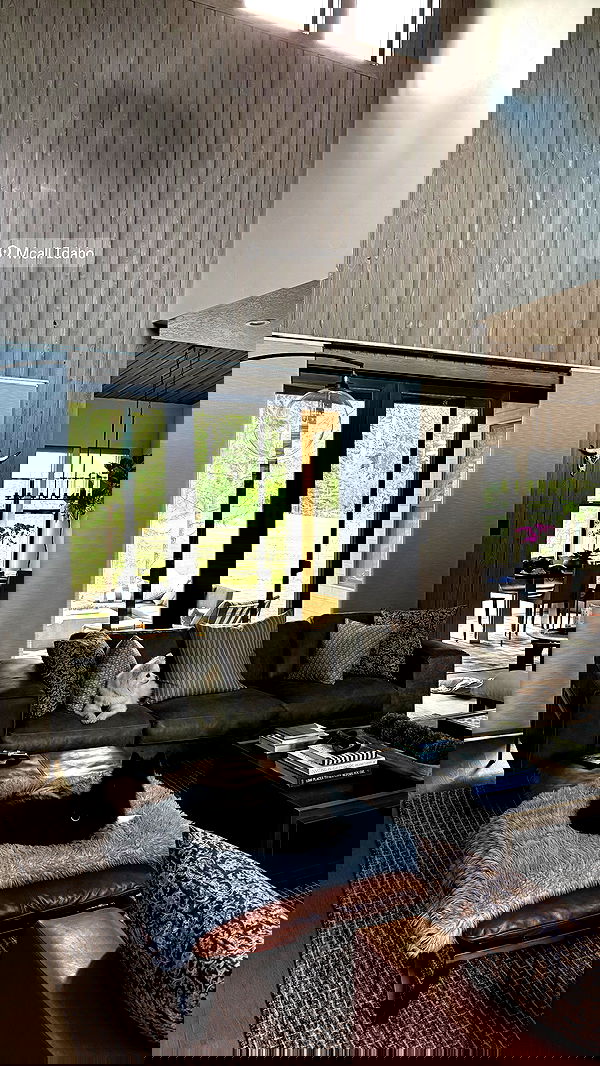 carolinezalog carolinezalog archive image