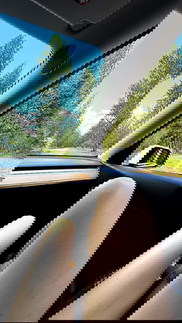 carolinezalog carolinezalog archive image