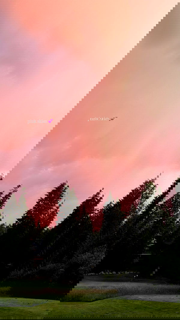 carolinezalog carolinezalog archive image