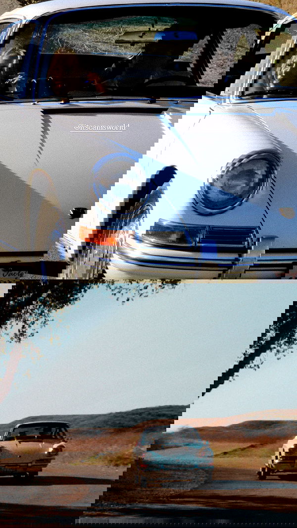 carolinezalog carolinezalog archive image