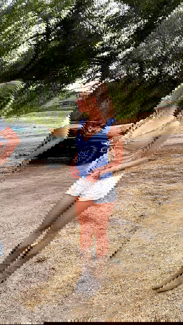 carolinezalog carolinezalog archive image